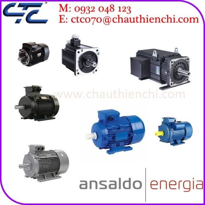Động cơ AC Ansaldo hiệu suất cao