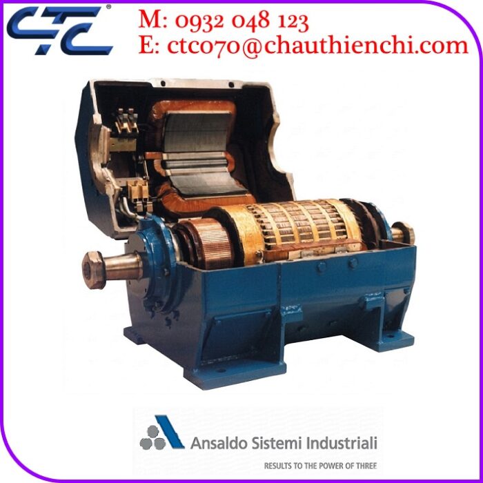 Động Cơ DC Ansaldo Chính Hãng
